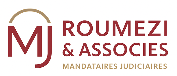 Logo ROUMEZI